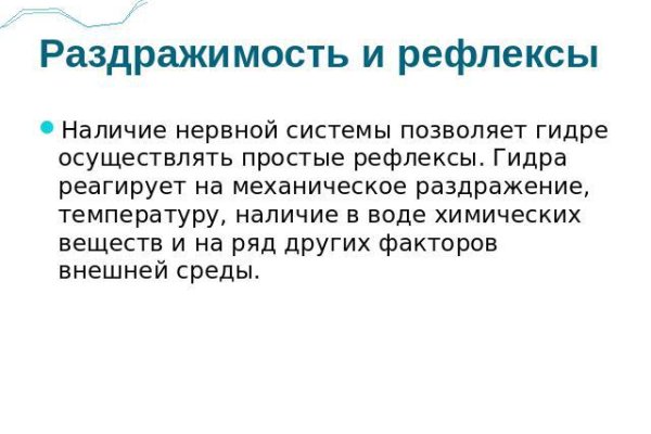 Kraken istand onion ссылка