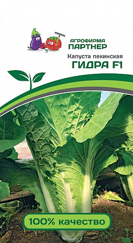 Маркетплейс кракен